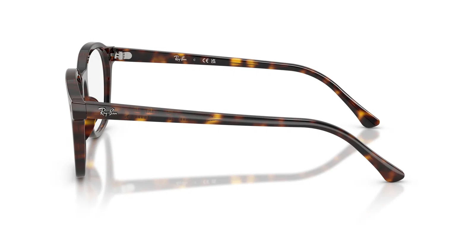 Ray-Ban 5460 Eyeglasses - view 25